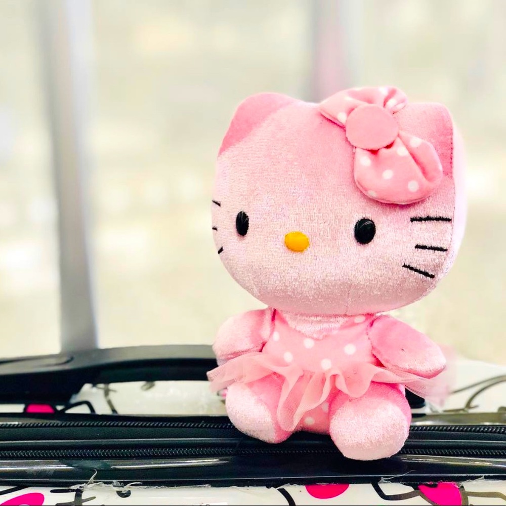 💕Hellokitty Plush💕